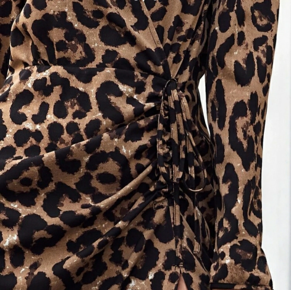 Leopard Wrap Dress - Picture 5 of 5